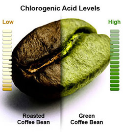 green coffee bean vs brown