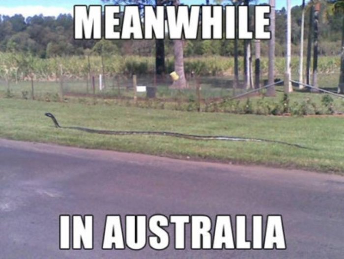 things you only see in Australia