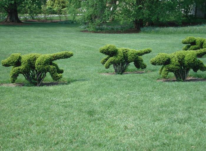 Topiary Gardens