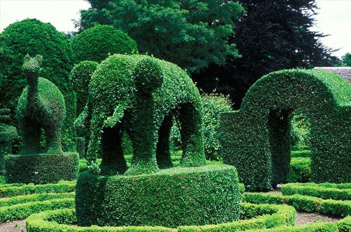 Topiary Gardens