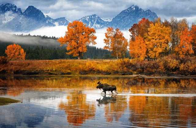 national geographic photo contest