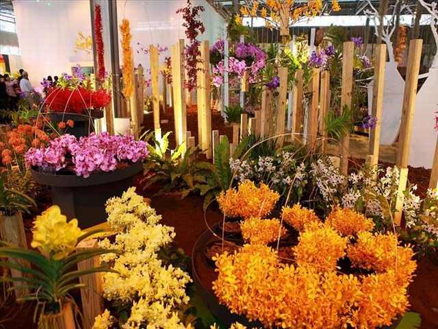 orchid festival