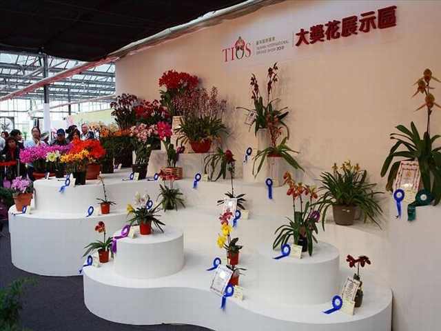 orchid festival