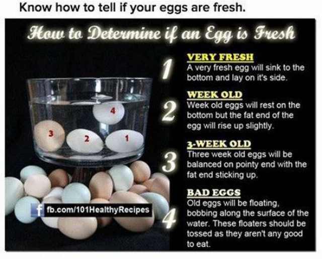 DIY tips