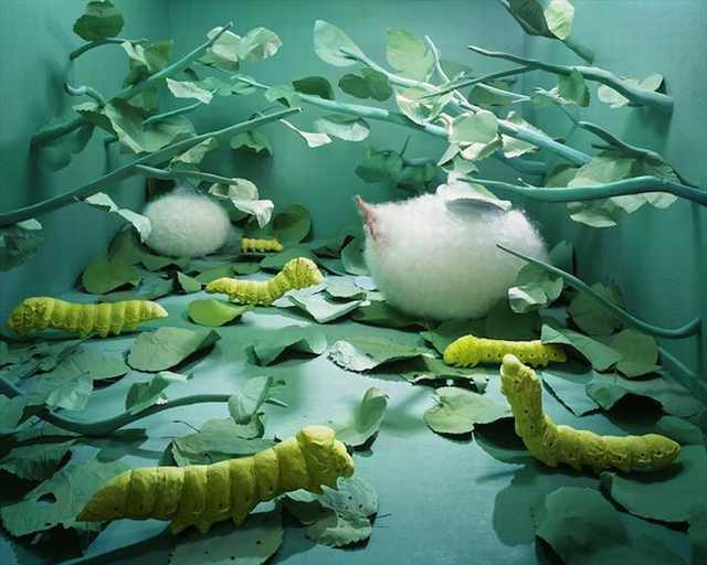 jeeyoung lee art photos