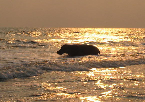 strange beaches