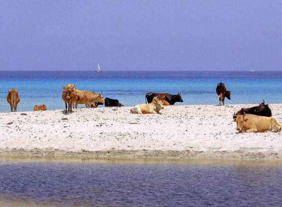 strange beaches