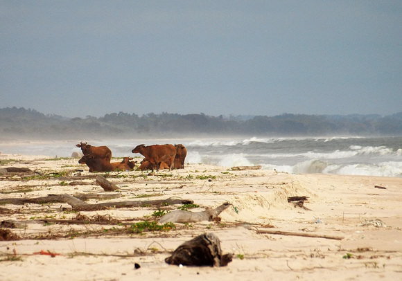 strange beaches