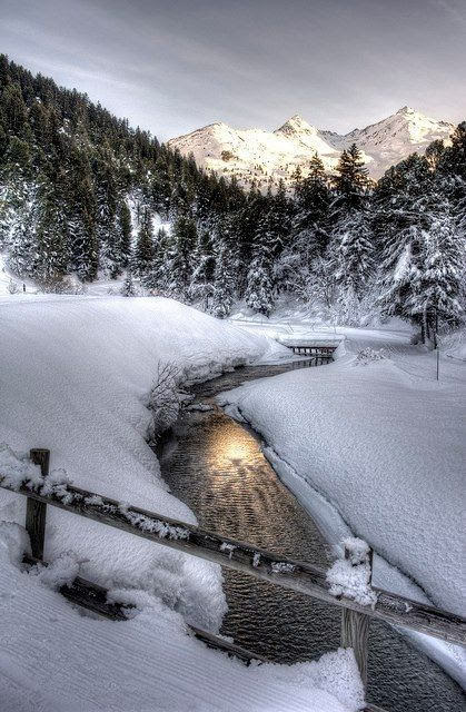 snowy beauty