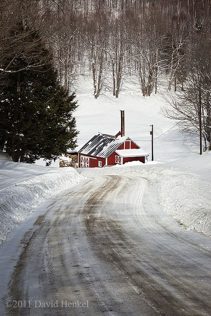 snowy beauty