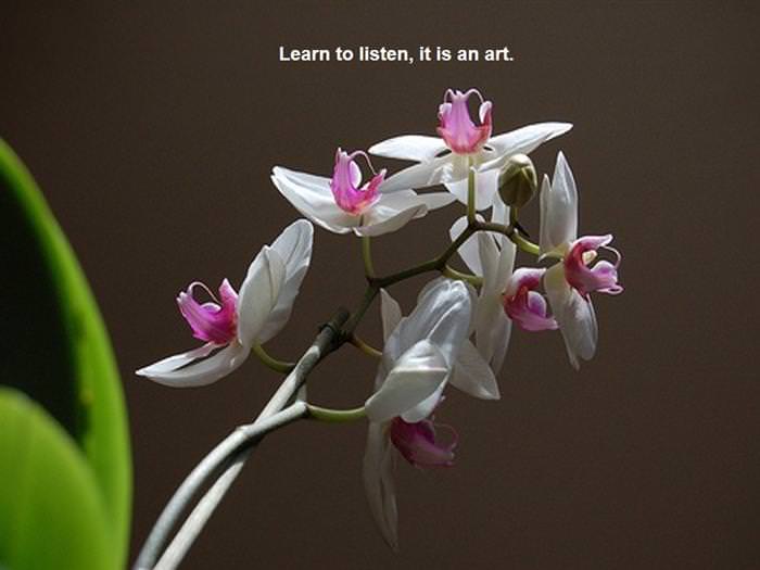 Life lessons with flowers
