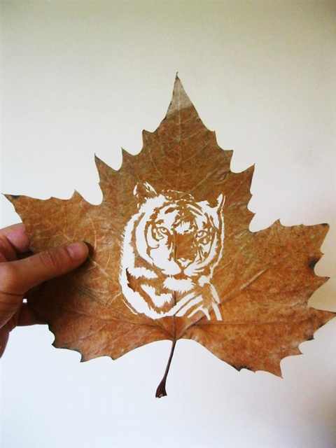 Ever Heard of Leaf-Sculptures?