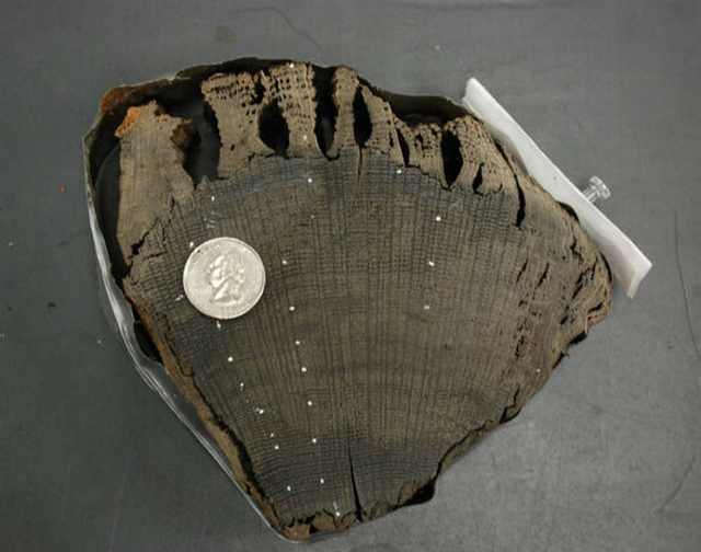 Workers at Ground Zero Have Made an Astonishing Discovery!