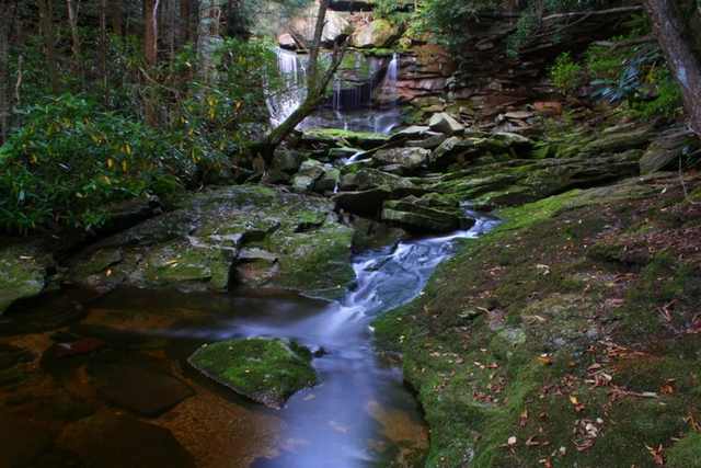 Elakala Falls