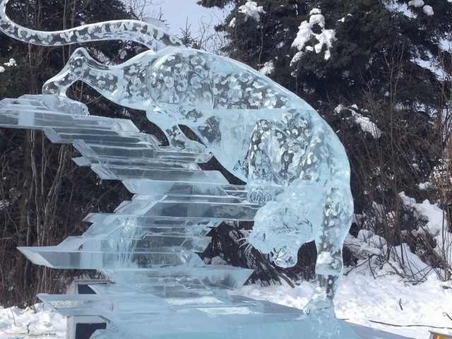 Ice Sculptures