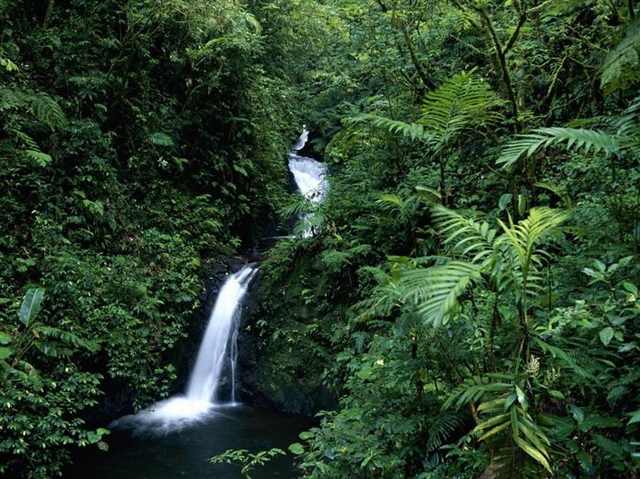 Top 10 Reasons to Visit Costa Rica