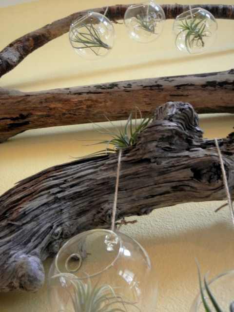 driftwood interior design decor