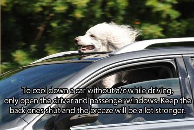 driving tips