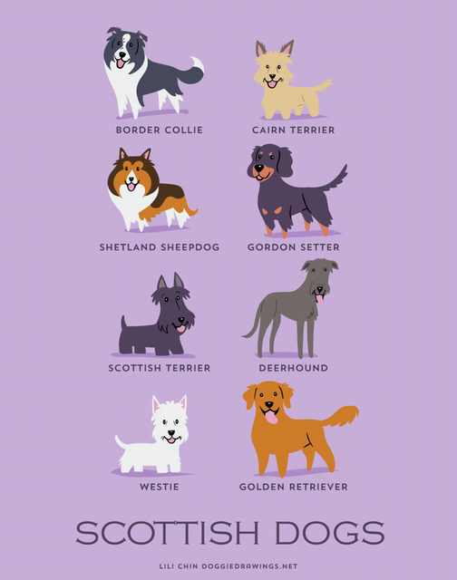 dogs by country