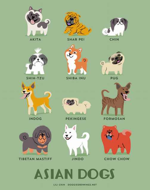 dogs by country
