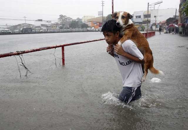 humans saving animals